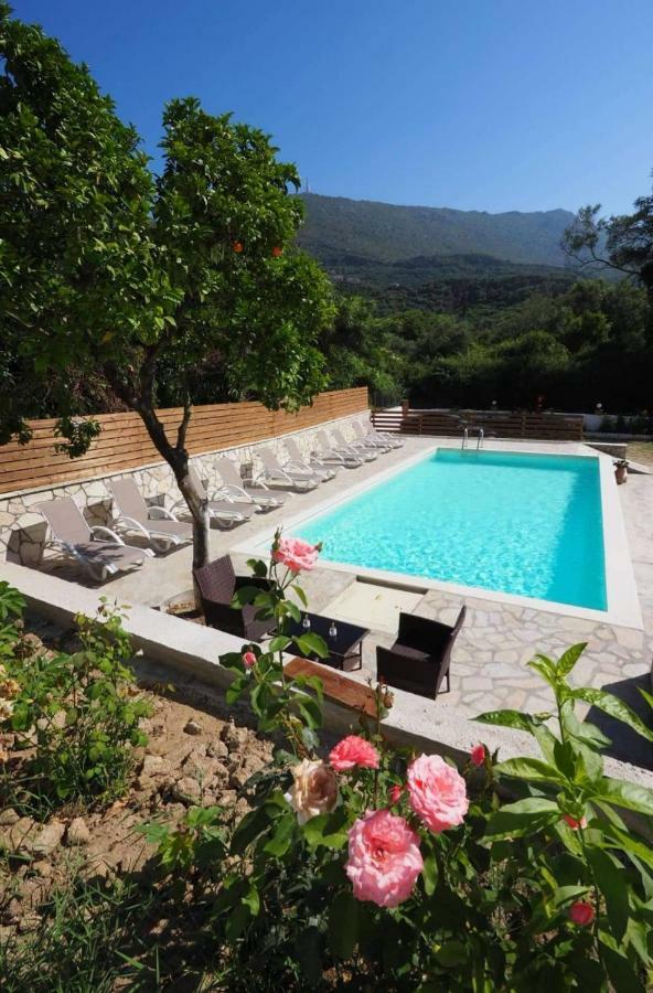 Dallas Valtos Studios Apartment Parga