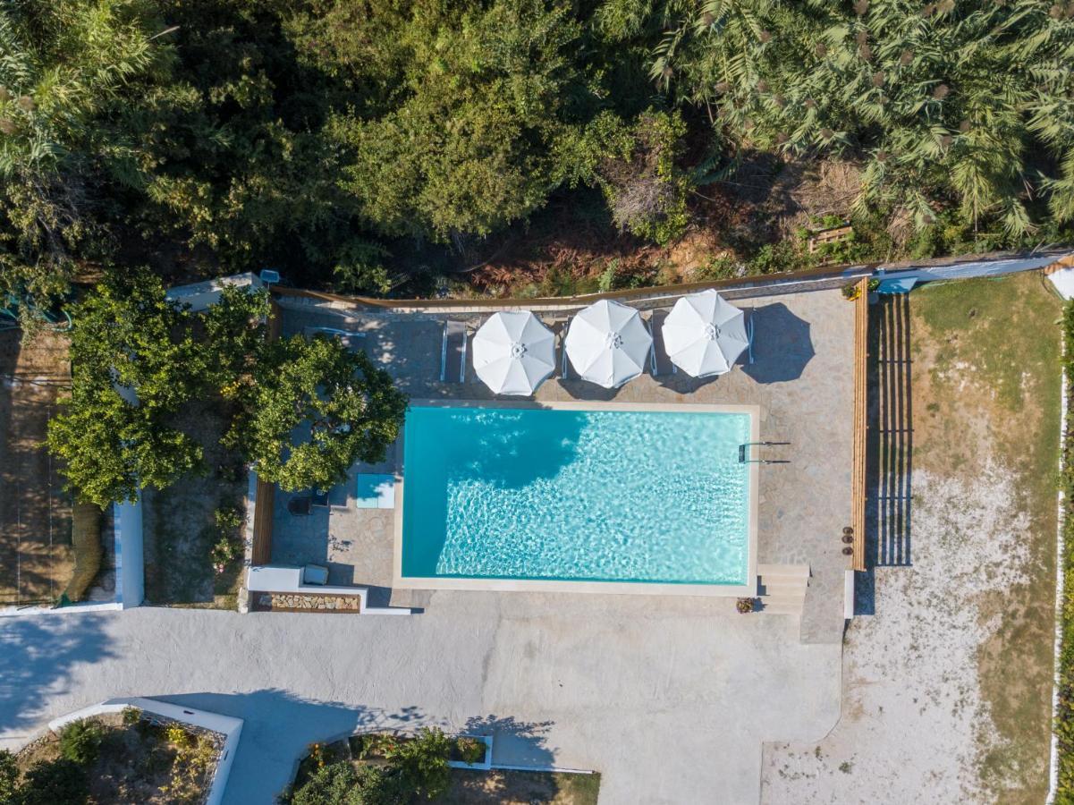 Dallas Valtos Studios